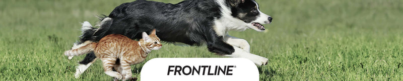 Frontline BENU