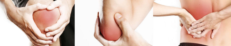 Spieren en gewrichten BENU Muscles et articulations