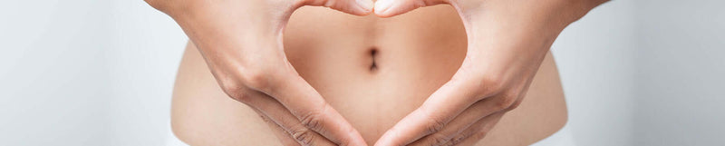 Spijsvertering - Darmtransit LloydsPharma Digestion - Transit Intestinal